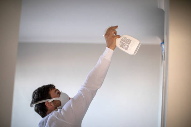 Best Mold Removal Company Near Me  in Camp Verde, AZ