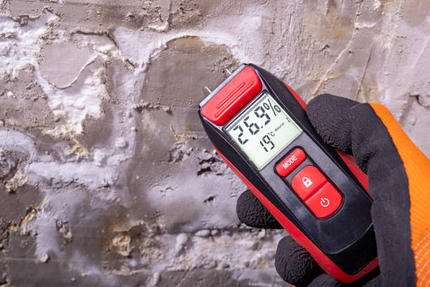 Best Toxic Mold Removal  in Camp Verde, AZ
