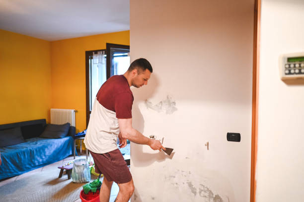 Best Mold Remediation Services  in Camp Verde, AZ